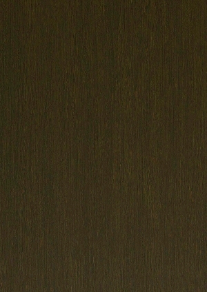 ModernWood Texture