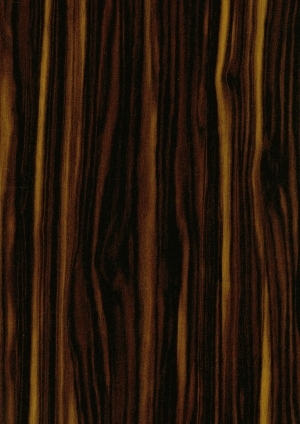 ModernWood Texture