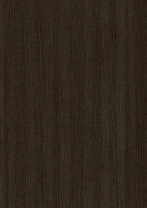 ModernWood Texture