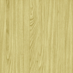ModernWood Texture