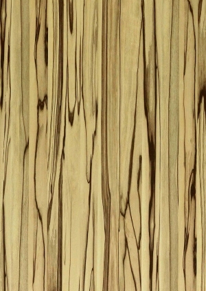 ModernWood Texture