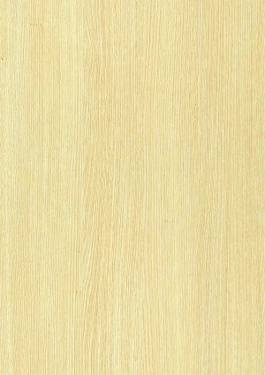 ModernWood Texture