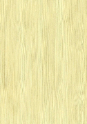 ModernWood Texture