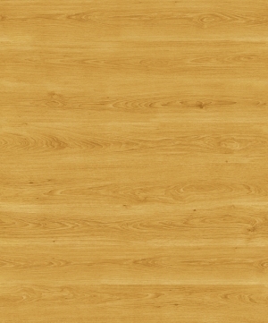 ModernWood Texture