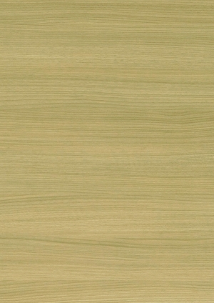 ModernWood Texture