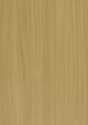 ModernWood Texture