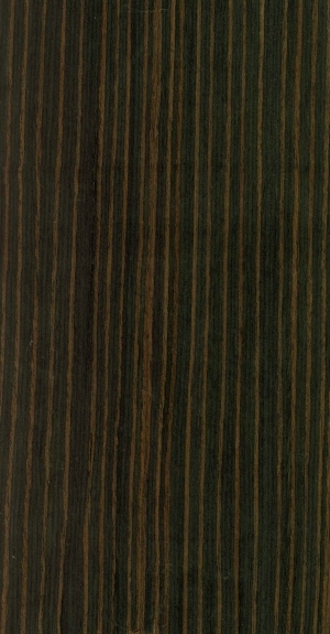 ModernWood Texture