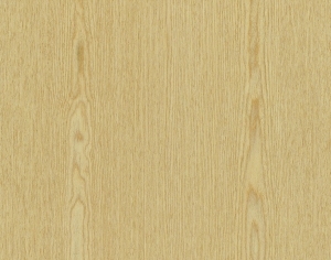 ModernWood Texture