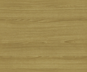 ModernWood Texture