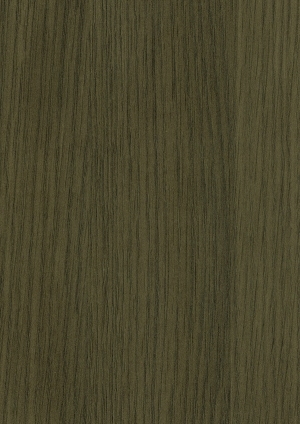 ModernWood Texture