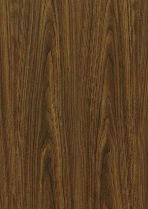 ModernWood Texture