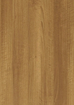 ModernWood Texture