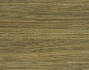 ModernWood Texture