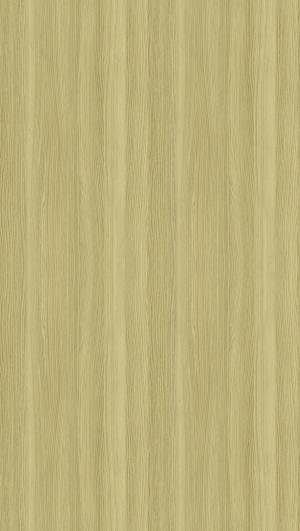 ModernWood Texture