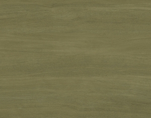 ModernWood Texture