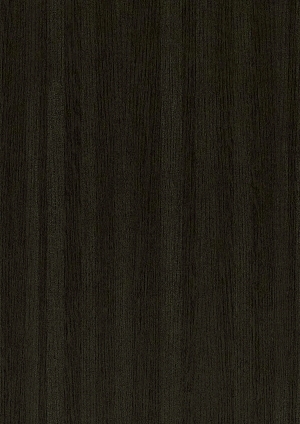 ModernWood Texture