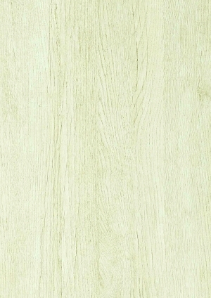 ModernWood Texture