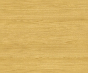 ModernWood Texture