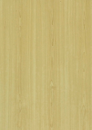 ModernWood Texture