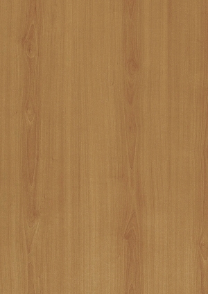 ModernWood Texture