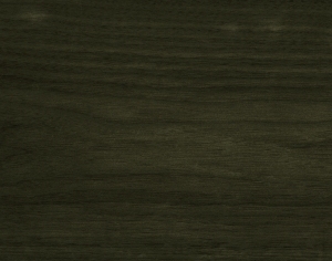 ModernWood Texture