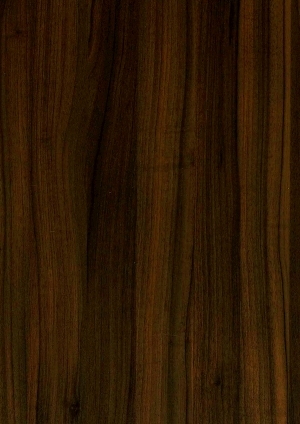 ModernWood Texture