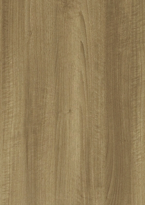 ModernWood Texture