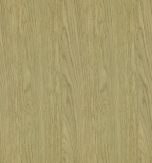 ModernWood Texture