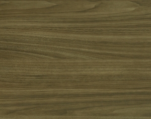 ModernWood Texture
