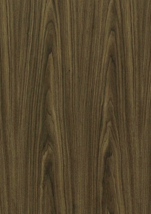ModernWood Texture