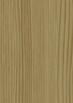 ModernWood Texture
