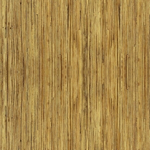 ModernWood Texture