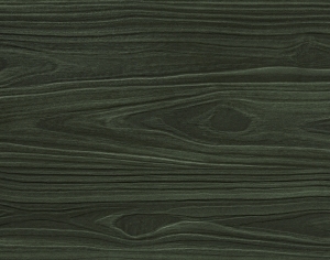 ModernWood Texture