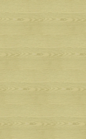 ModernWood Texture