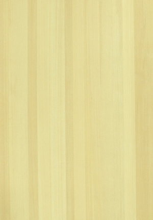 ModernWood Texture