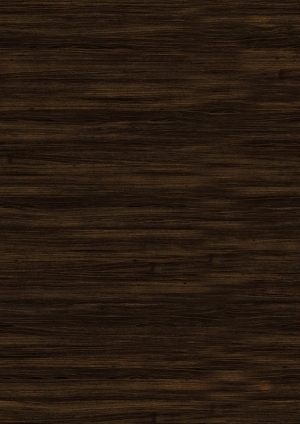 ModernWood Texture