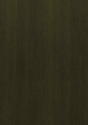ModernWood Texture