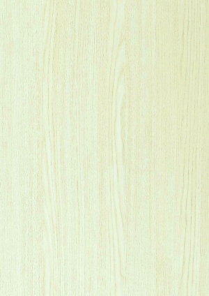 ModernWood Texture