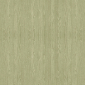 ModernWood Texture
