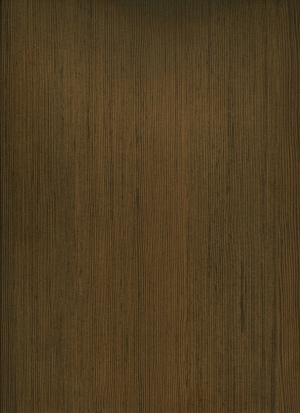 ModernWood Texture