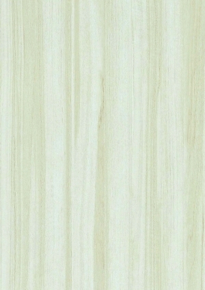 ModernWood Texture