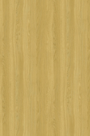 ModernWood Texture