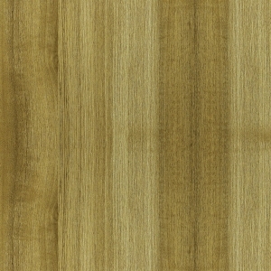 ModernWood Texture