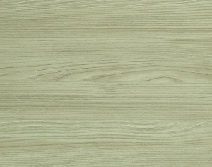 ModernWood Texture