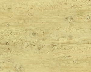 ModernWood Texture