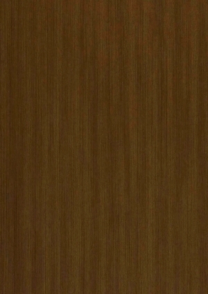 ModernWood Texture