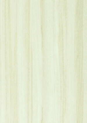 ModernWood Texture