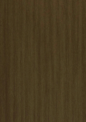 ModernWood Texture