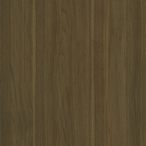 ModernWood Texture