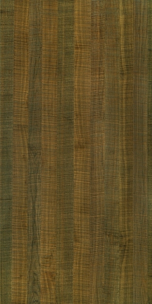 ModernWood Texture